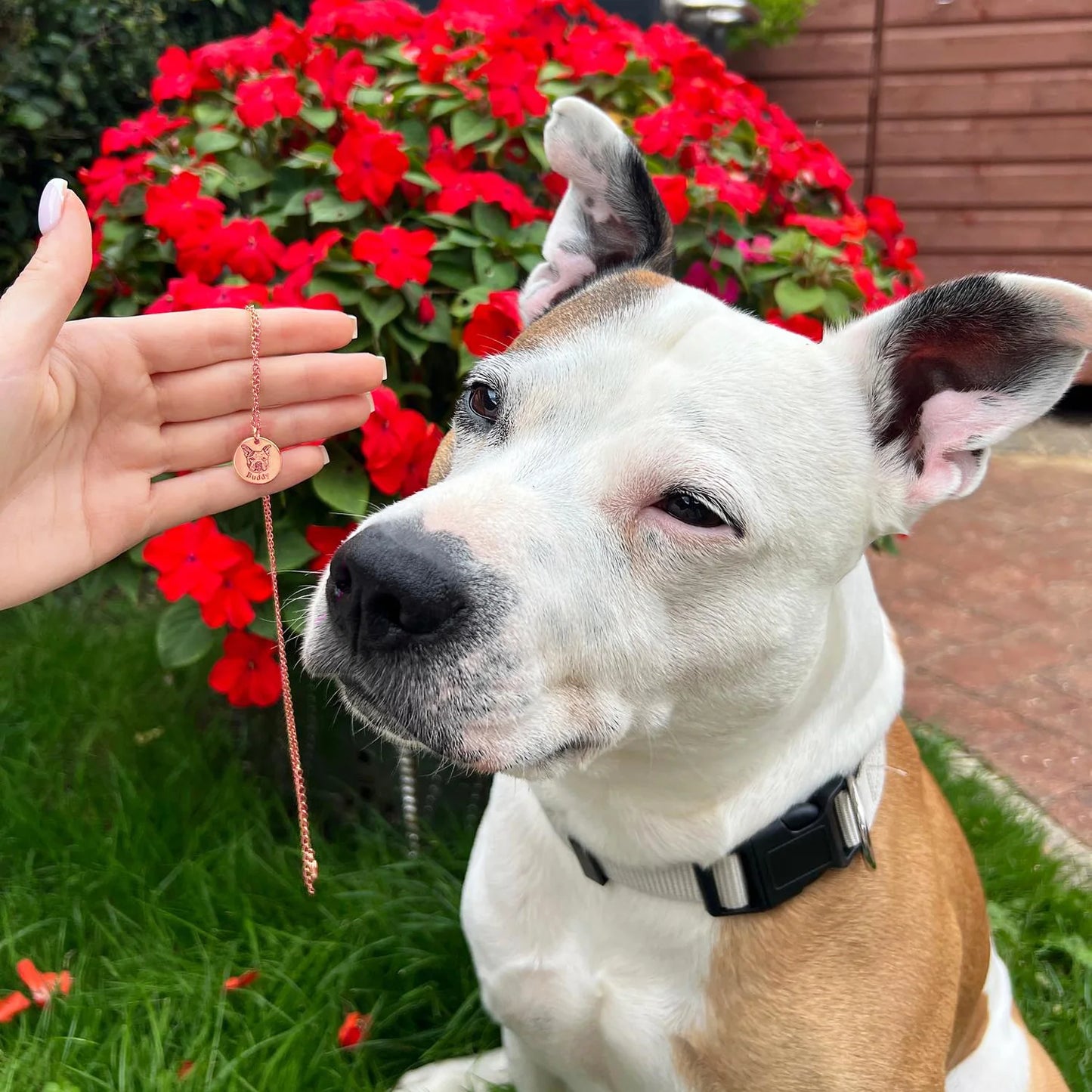 Personlig halskæde med kæledyrsfoto